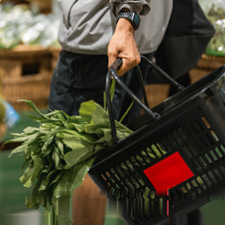 Grocery & Supermarket